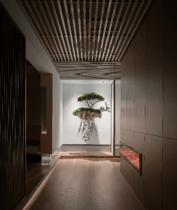 Modern Commercial Design